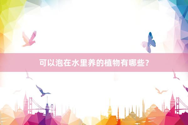 可以泡在水里养的植物有哪些？